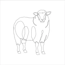 Learn to Draw a Sheep in One Line: Simple Farm Animal Art for Beginners