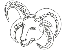 Draw a Sheep with One Line: Easy Animal Art for Beginners