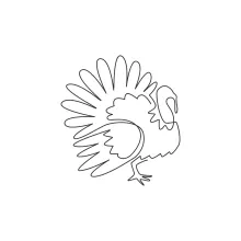 Beginner Turkey Drawing in One Line: Learn to Simplify Animal Forms