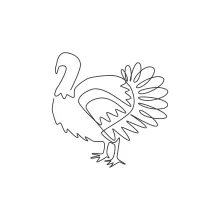 One-Line Turkey Drawing for Beginners: Explore Bird Shapes with Simple Drawing Steps