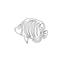 Regal Angelfish in One Line: Practice Smooth Body Shapes with a Cute Sea Creature