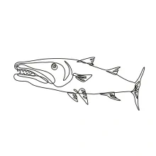 One-Line Barracuda Drawing: Explore Sharp Features in a Predatory Ocean Fish