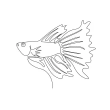 Betta Fish One-Line Drawing: Learn Fin Detail and Curved Motion with a Fighting Fish