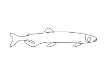 One-Line Capelin Fish Drawing: Practice Small Ocean Shapes in One Motion