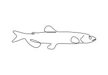 Capelin Fish One-Line Drawing: Strengthen Precision with a Slim Body Shape