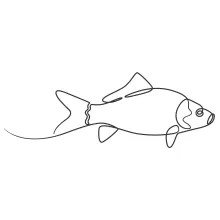 Simple One-Line Fish Drawing: Strengthen Hand Control with a Basic Shape