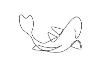 Koi Carp One-Line Drawing: A Peaceful Practice in Animal Shape Study