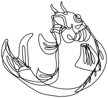 Jumping Koi Fish in One Line: Build Focus with a Flowing and Uplifting Form