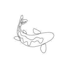 Elegant Koi Fish in One Line: Master Flowing Shapes and a Peaceful Drawing Experience
