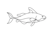 One-Line Catfish Drawing: Explore Unique Whiskers with a Single Line