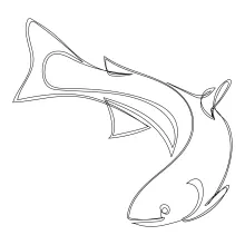 One-Line catfish Sketch: A Fun and Easy Project for Early Learners