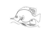 Fish One-Line Drawing: Quick and Educational Practice for All Ages