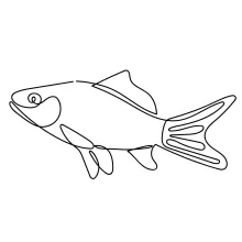 Simple Fish One-Line Drawing: Great for Practicing Balanced Body Shapes