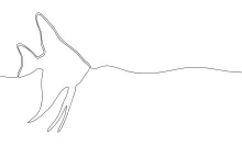 Easy One-Line Fish Drawing: Learn to Sketch with Balanced Shapes