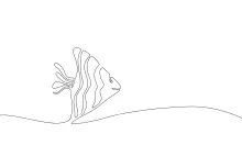 Fish One-Line Drawing: Build Drawing Confidence with Easy Marine Forms