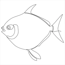 Simple One-Line Fish Art: Strengthen Hand Control with a Classic Shape