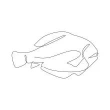 One-Line Sea Fish Drawing: Learn to Create Balanced Ocean Shapes