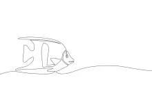 One-Line Drawing of Sea Fish: Learn to Sketch Simple Ocean Shapes Easily