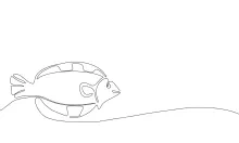 One-Line Art of a Fish: Learn Sea Shapes Through Simple Drawing