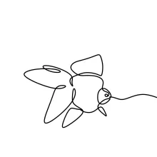 Goldfish Drawing in One Line: Learn Flow and Curves with an Elegant Fish Form