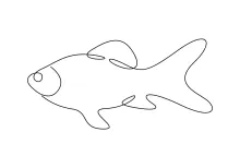 Goldfish One-Line Drawing: Create Elegant Curves with a Flowing Shape