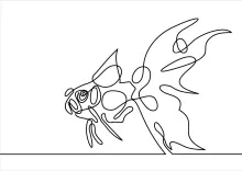Goldfish One-Line Drawing: A Fun and Easy Sketch for All Skill Levels