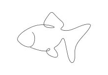 One-Line Drawing of a Goldfish: Gentle Curves and Shapes for Beginners