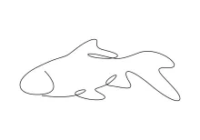 Goldfish One-Line Drawing: Perfect for Practicing Curvy Shapes