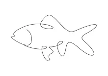 One-Line Goldfish Drawing: Fun and Easy Project for All Ages