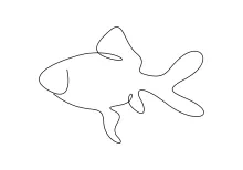 Goldfish One-Line Sketch: Practice Symmetry and Smooth Movement