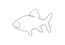 Easy One-Line Goldfish Art: Improve Drawing Confidence with Sea Creatures