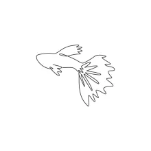 Adorable Guppy Fish in One Line: Practice Delicate Details with a Tiny Sea Creature