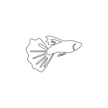 Guppy Fish One-Line Drawing: Explore Delicate Details in a Small Beautiful Fish