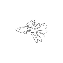 Cute Guppy Fish in One Line: Learn Light Forms with a Small and Easy Fish