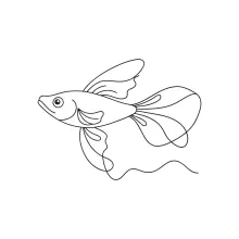One-Line Guppy Drawing: Explore Small, Colorful Fish with a Simple Outline