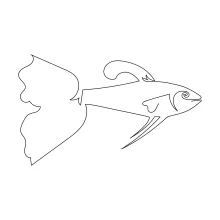 Guppy One-Line Drawing: Create Flowing Fin Shapes with Simple Technique