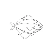 Halibut One-Line Drawing: Capture Flat Fish Shapes in Simple Form