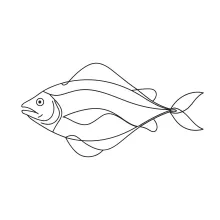 One-Line Halibut Drawing: Explore Flat Fish Forms with a Simple Sketch