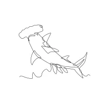 One-Line Scalloped Hammerhead Shark Drawing: Practice Unique Head Shapes with Bold Motion