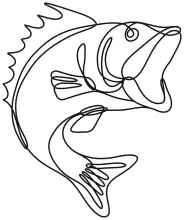 Jumping Largemouth Bass in One Line: Explore Power and Height in a Simple Drawing