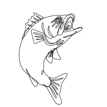Upward Bass Drawing in One Line: Learn Energy and Impact with a Jumping Shape