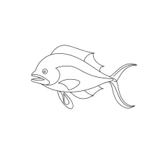 Mahi Mahi One-Line Drawing: Sketch a Dynamic, Fast Ocean Fish with Ease