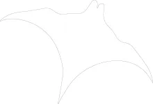 Manta Ray One-Line Drawing: Build Confidence with Large Ocean Shapes