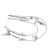 Needlefish Jumping Drawing in One Line: Practice Slim Shapes and Aerial Curves