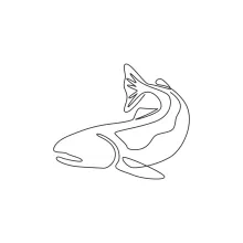 Big Salmon in One Line: Practice Natural Fish Shapes and Basic Proportions