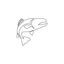Big Salmon in One Line: Build Drawing Skills with a Calm and Recognizable Fish
