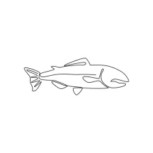 Large Salmon Drawing in One Line: Practice Strong Body Lines and River Life Forms