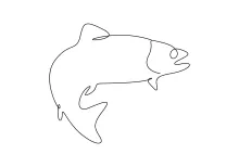 One-Line Salmon Drawing: Study Movement and Form in an Easy Fish Sketch