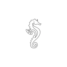 Seahorse One-Line Drawing: Practice Tiny Sea Animal Forms with Simple Lines