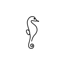 Seahorse One-Line Drawing: Practice Vertical Curves and Tail Shapes